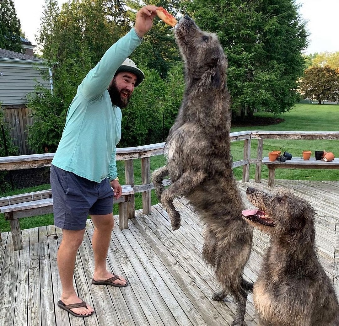 Jason Kelce's Extremely Large Dogs Go Viral - TMSPN