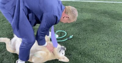 Kirk Herbstreit's Dog Trending Over Special Treat For His Birthday - TMSPN