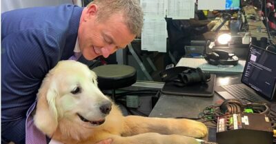 Kirk Herbstreit's Dog Goes Viral With Alabama Cheerleaders - TMSPN