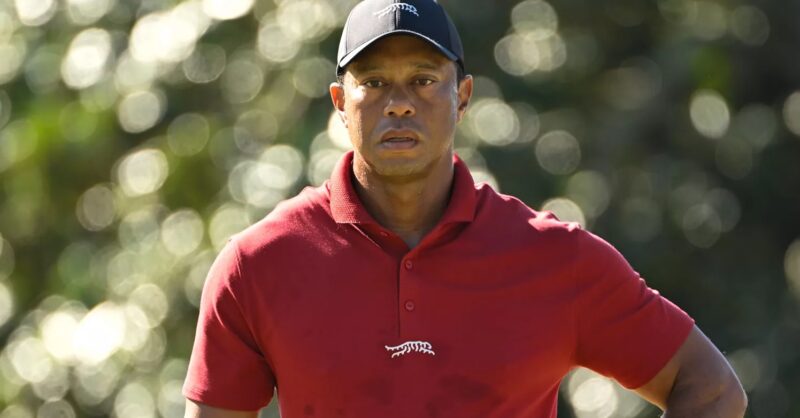 Former Star Golfer Thinks Tiger Woods Should Retire Immediately - TMSPN